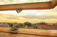 rated Carburton roof window companies